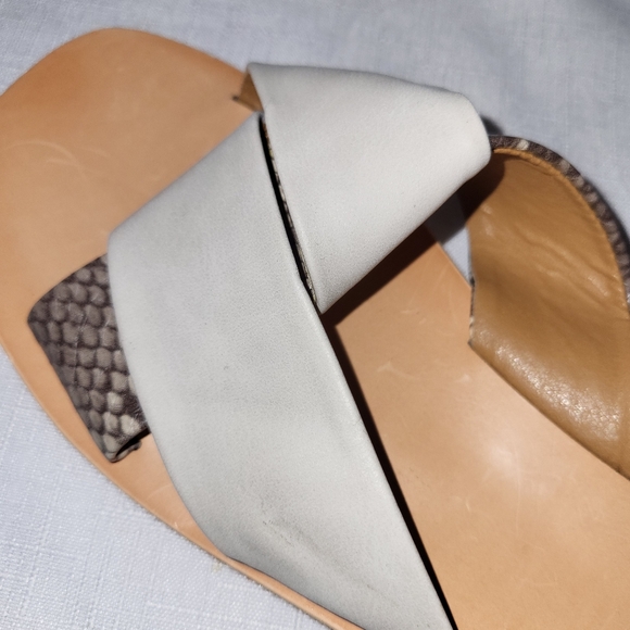 Dolce Vita DV Lima Slides Sandals from Buckle Womens Sz 6 Medium Taupe Vegan NWT - Picture 6 of 13